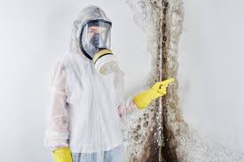 Reliable Northwest Harwinton, CT Mold Remediation Solutions